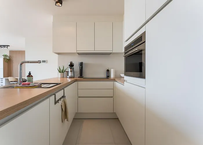 Lichtrijk En Ruim Met Zeezicht - 5p Appartement *